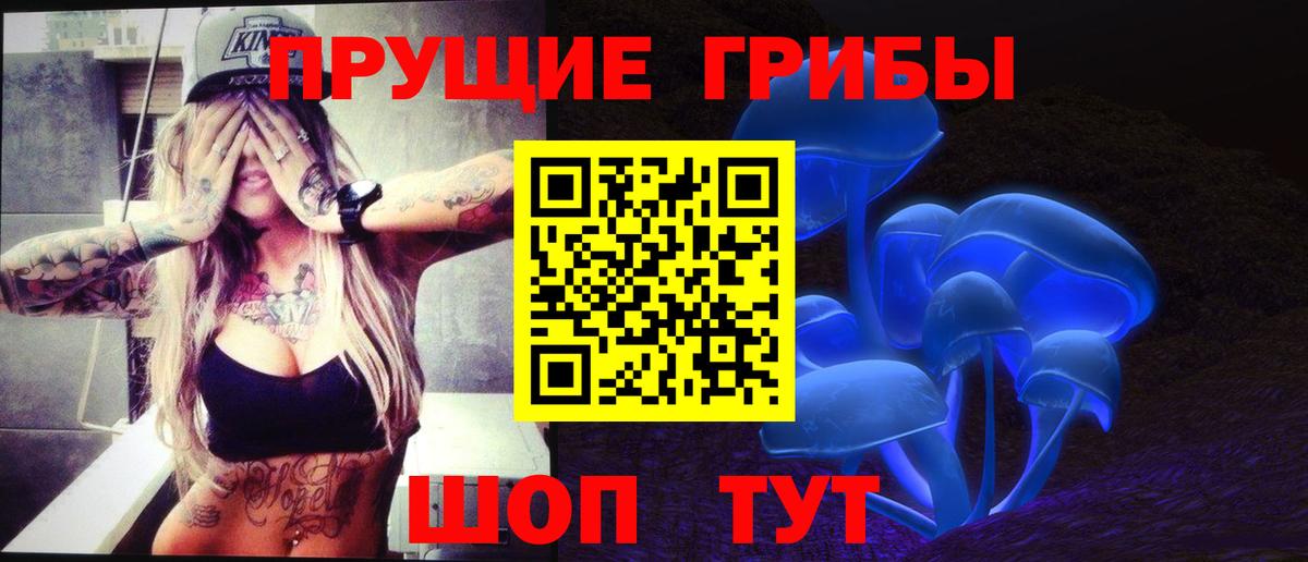 купить наркоту  Галлюциногенные грибы GOLDEN TEACHER  Узловая  Вход с VPN  Псилоцибиновые грибы мицелий 