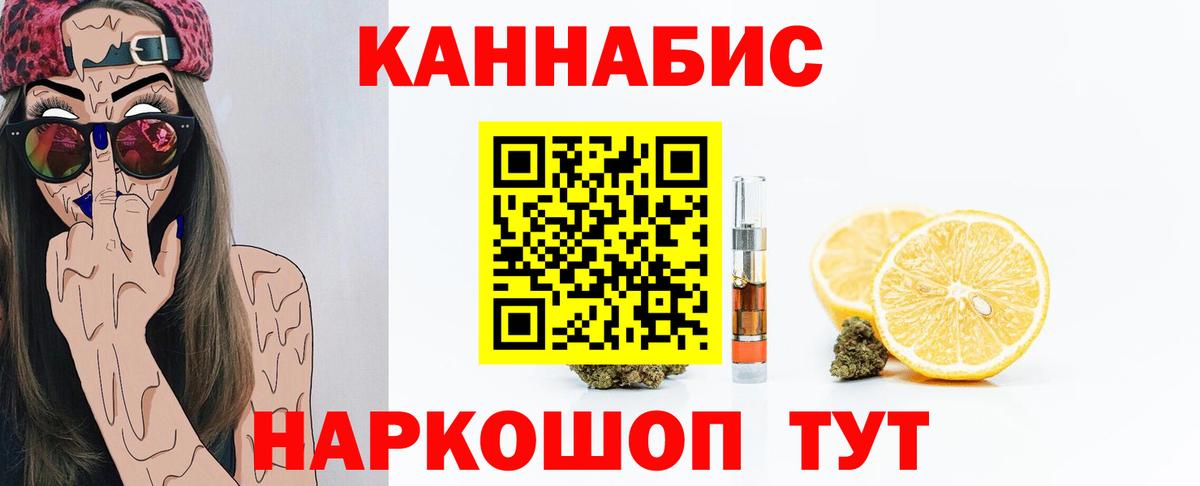 Конопля сатива Узловая